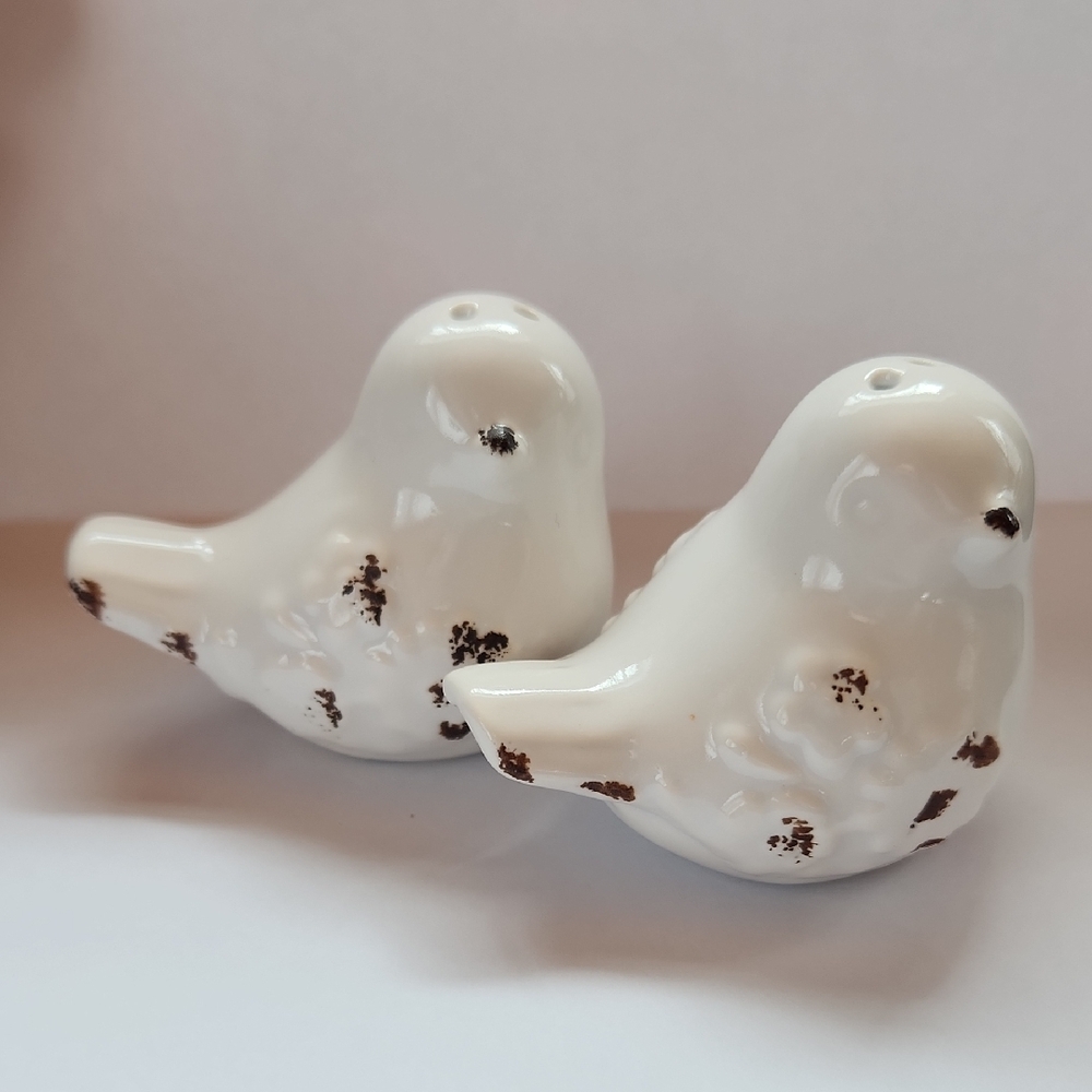 Shabby Chic Mini Bird Salt & Pepper Set NWOT